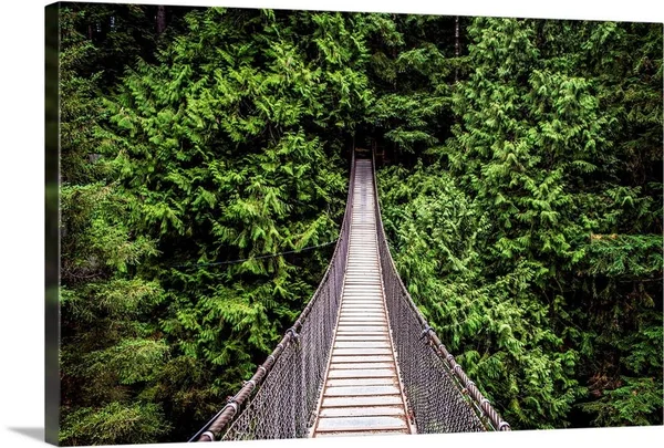Capilano Suspension Bridge - North Vancouver, British Columbia, Canada, Canvas Wall Art, 24x16, Great Big Canvas