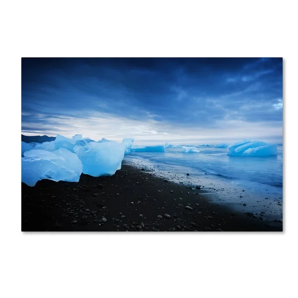 Trademark Fine Art Psl0637-C1219Gg Philippe Sainte-Laudy 'Blue Sugar'