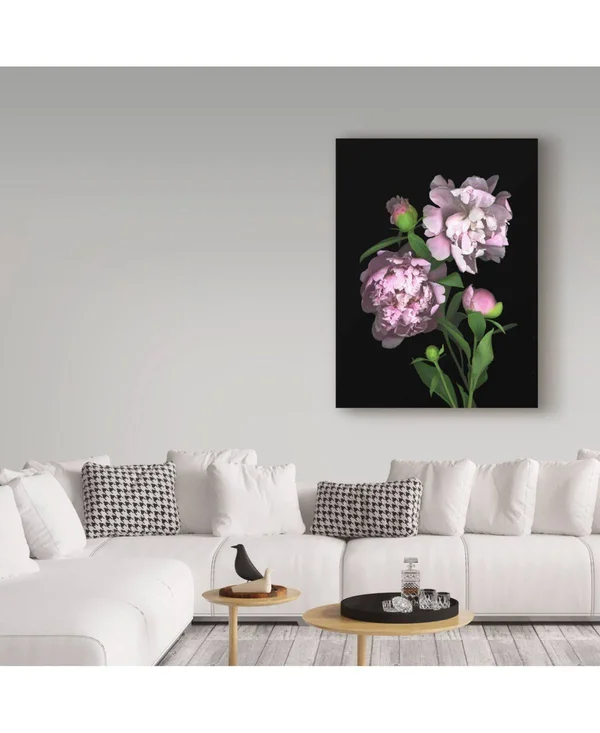 Trademark Art Susan S. Barmon 'Peony' Canvas Art