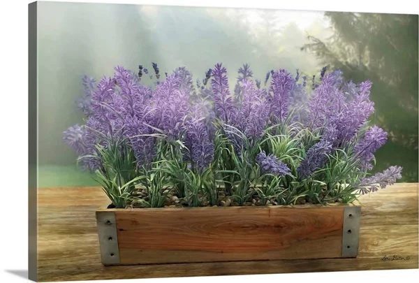 Lavender Planter - Canvas Wall Art, 24x16, Great Big Canvas