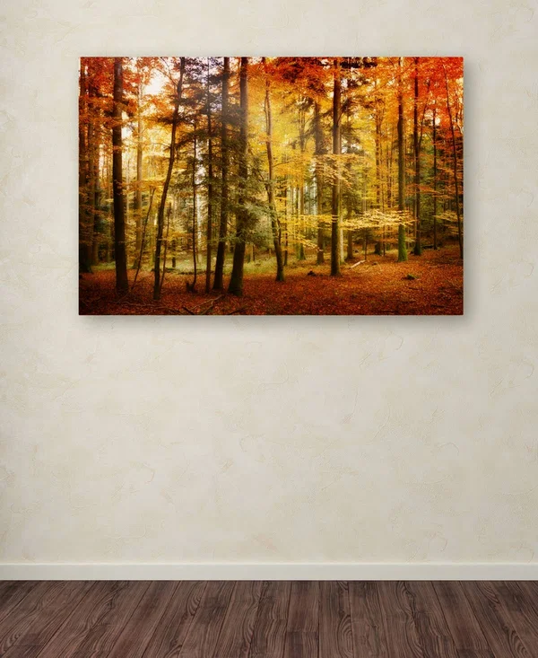Trademark Fine Art Philippe Sainte-Laudy &Brilliant Fall Color& Canvas Art
