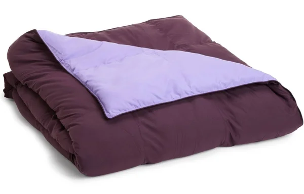 All Season Down Alternative Reversible Comforter King-Ivory/Sage