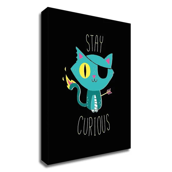 22x22 x 17x22 Stay Curious by Michael Buxton Print on Canvas