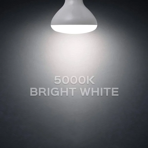 Luxrite BR30 LED Flood Light Bulb Dimmable 650 Lumens 9W\x3d65W E26 Base Energy Star UL Listed Damp Rated 12-Pack - 3000K (Soft
