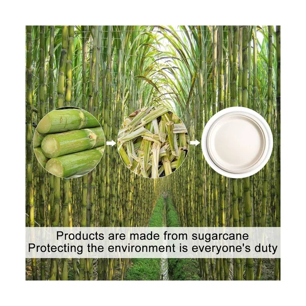 Green Earth - Natural Bagasse (Sugarcane Fiber) Tree Free 10x22 Paper Plate - Biodegradable, Compostable (500 Counts Disposable