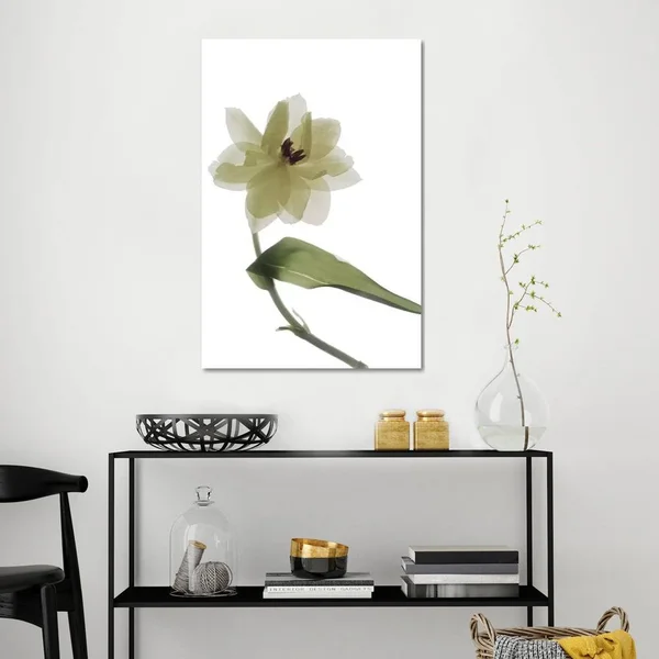 iCanvas X-Ray Tulip II Art by Judy Stalus Canvas Art Wall Decor ( Floral & Botanical > Flowers > Tulips art)