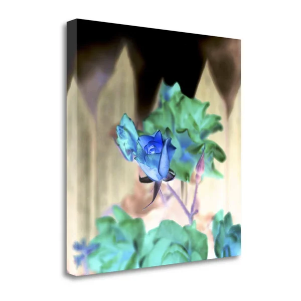 Tangletown Fine Art Floral Color - 7x22 by Alan Blaustein, Giclee Print on Wrap Canvas, 30x22x30x22
