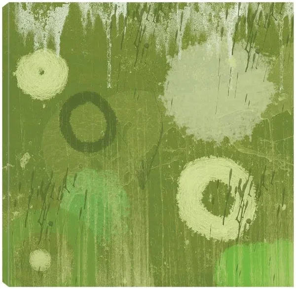 Verdure Canvas Art by Erin Clark 22X22 Fineartcanvas