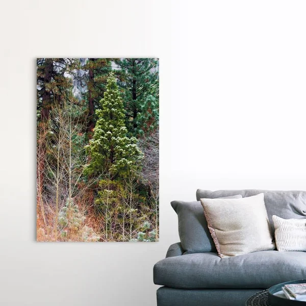 Mixed Forest in Winter, Yosemite Valley, Yosemite National Park, California, Canvas Wall Art, 40x60, Great Big Canvas