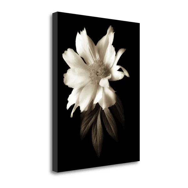 28x22 x 22x22 Portrait in White I by John Rehner Fine Art Giclee Print