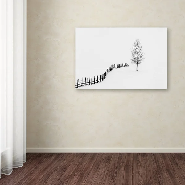 Trademark Fine Art 's I L E N C E' Canvas Art by Sveduneac Dorin Lucian - Size: 12 x 19