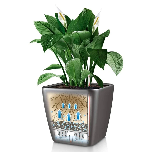 Lechuza Quadro LS Premium Planter Small High Gloss Taupe