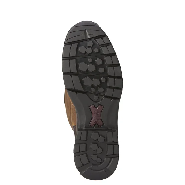 Ariat Women's Berwick GTX Insulated Boots