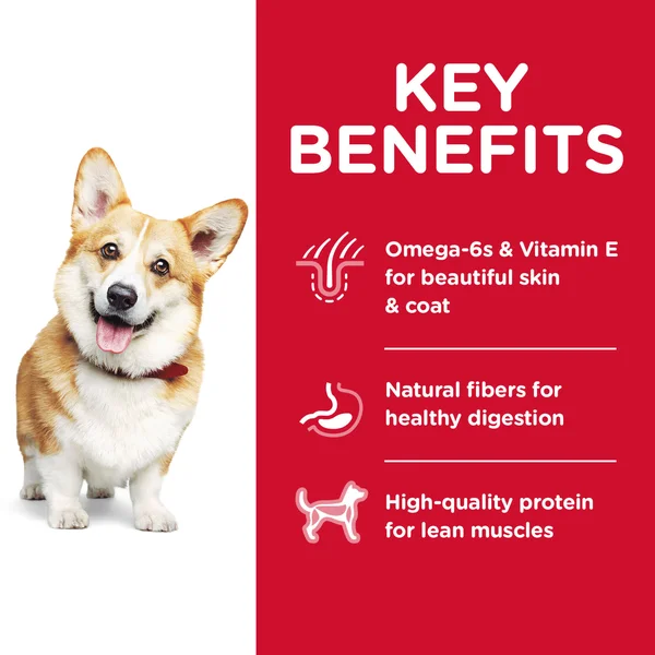 Science Diet Science Diet Dog Food, Premium, Chicken & Barley Recipe, Adult 1-6 Small Bites - 35 lb