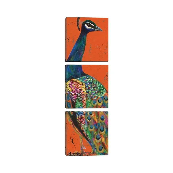 iCanvas Proud Peacock by Tracy Miller Canvas Print - 36x12x0.75