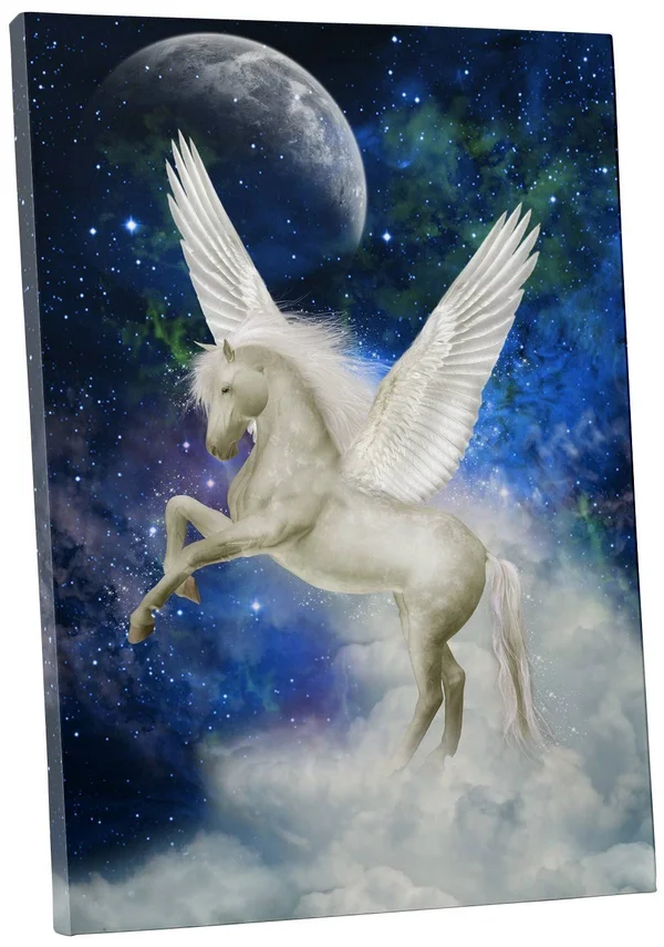Pingo World 0722q9qt1oa Magic Unicorn III Children Kids Gallery Wrapped Canvas Wall Art - 20 inch x 16 inch, Variable, White