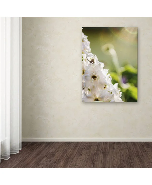 Trademark Fine Art Ks01298-C1824Gg Kurt Shaffer 'Rays of Love' Canvas