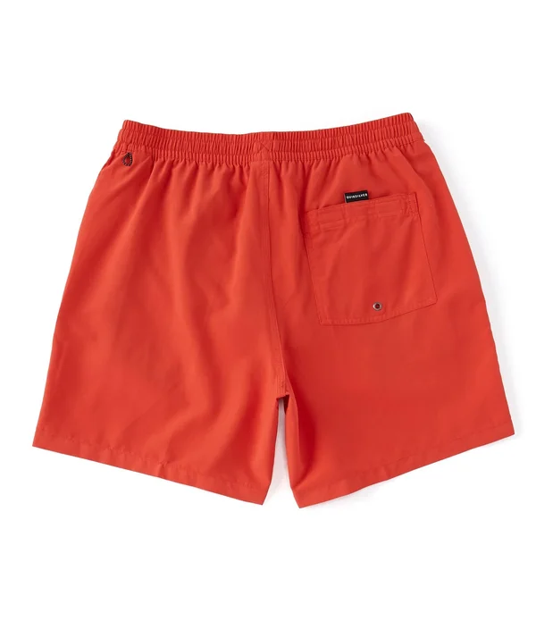Quiksilver Everyday Volley 17