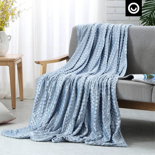 Weighted Blanket Light Blue, 48x72x22 12 lbs