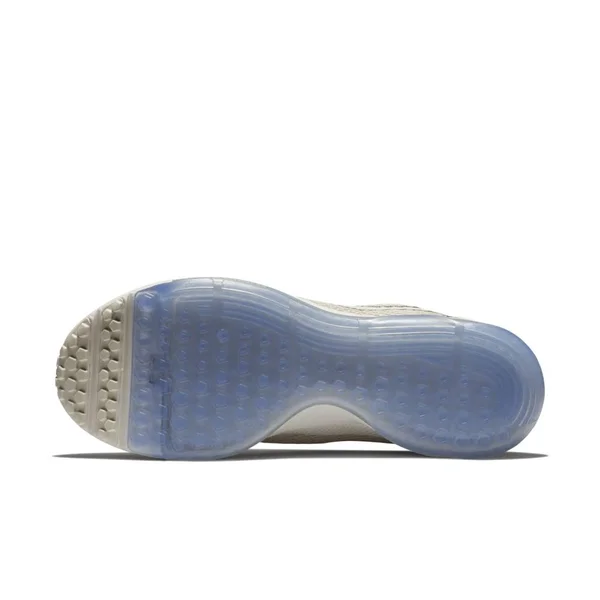 Nike Women's Zoom All Out Low 2 Running Shoe