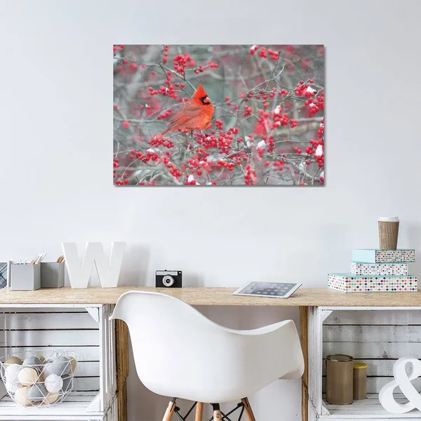 iCanvas Northern Cardinal Male in Winterberry BUSH, Marion County, Illinois Art by Richard & Susan Day Canvas Art Wall Decor