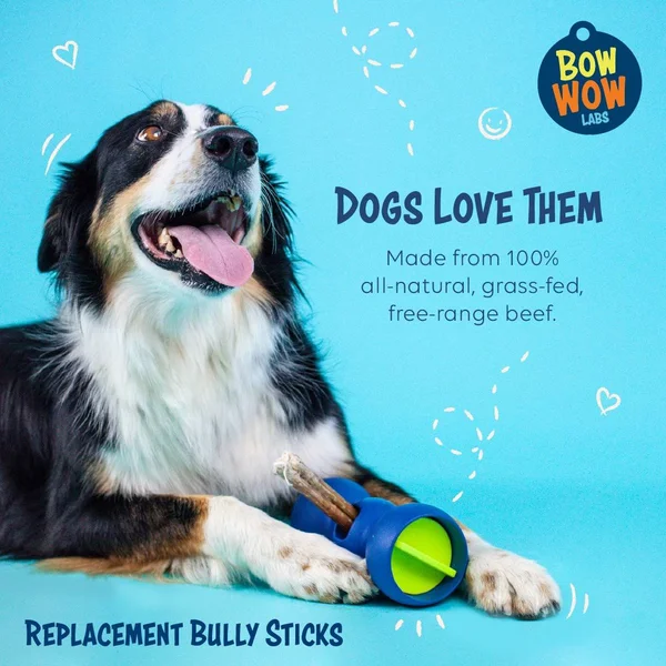 Bow Wow Labs Bully Buddy Starter Kit - Anti-Choking Bully Stick Safety Device for Dogs