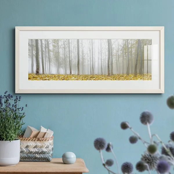 Poplar Grove-Premium Gallery Framed Print - Wood - White