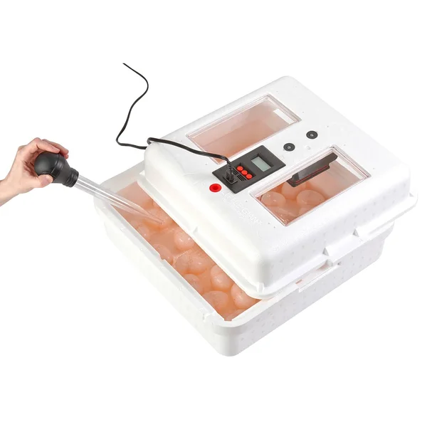 Little Giant 9300 Digital LCD Still Air Incubator for 41 Eggs, White