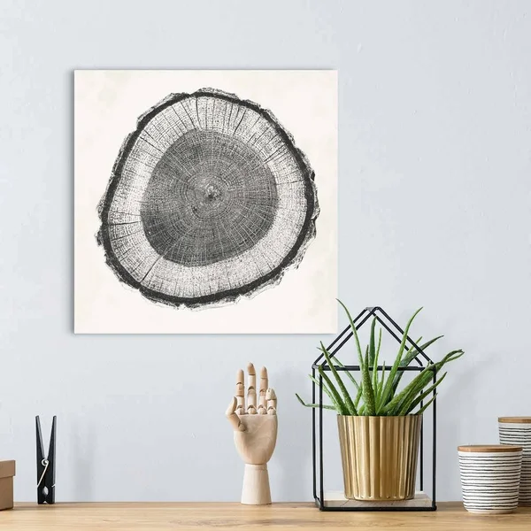 Tree Ring II - Canvas Wall Art, 16x16, Great Big Canvas