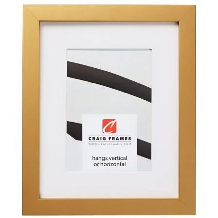 Craig Frames Confetti, 20x26 inch Modern Gold Picture Frame Matted for A 16x22 Photo, Size: 20 x 26