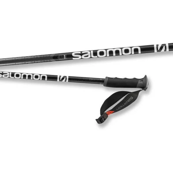 Salomon Arctic S3 Ski Poles Black/Grey, 110cm