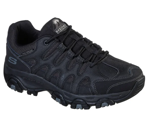 Skechers Men's Terrabite Oxford