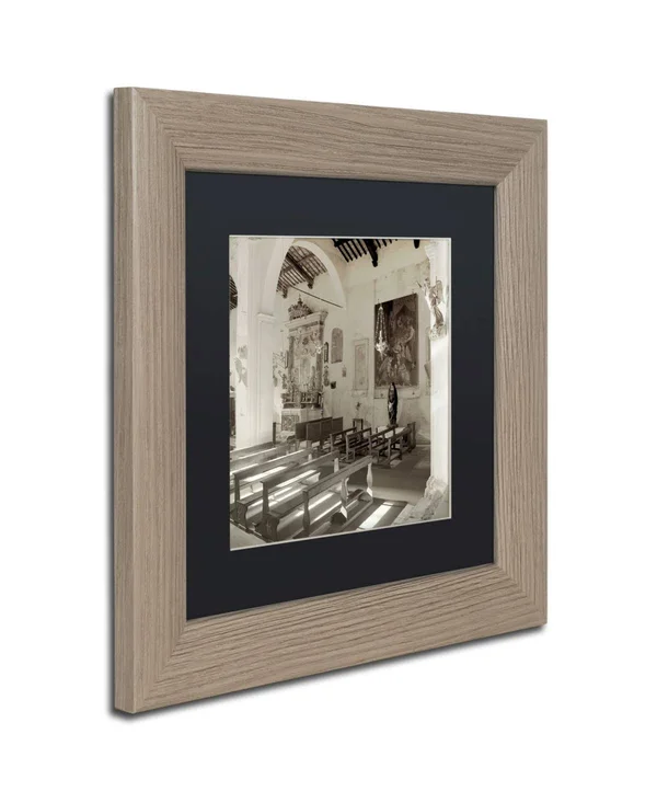 Trademark Art Alan Blaustein 'Banogregio I' Contemporary Matted Art