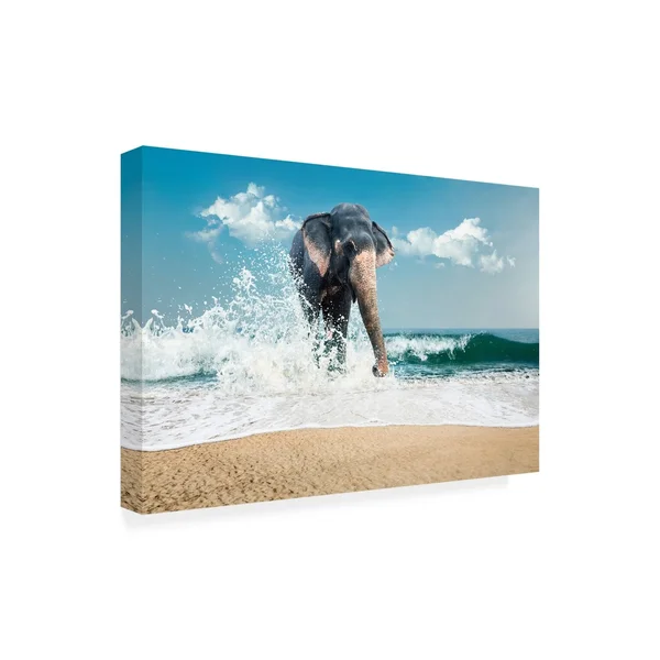 Trademark Art PhotoINC Studio 'Elephant on The Beach' Canvas Art