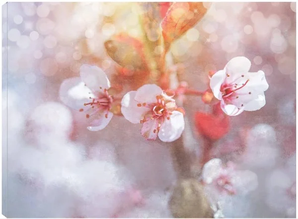 Spring Blooms 06 Canvas Art by LightBoxJournal 32x24 Fineartcanvas