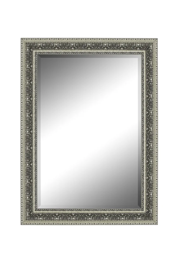Hitchcock Butterfield Venetian Washed Silver Mirror