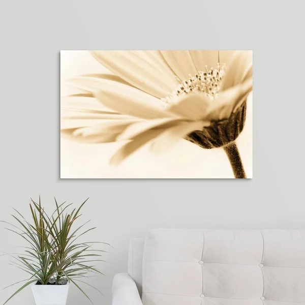 GreatBigCanvas Daisy by PhotoINC Studio Canva 20-in H x 30-in W Abstract Print on Canvas, 2529476-24-30X20