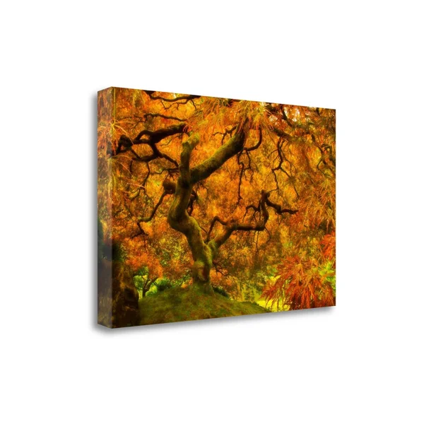 Wild Fire by Natalie Mikaels Fine Art Giclee Print on Gallery Wrap