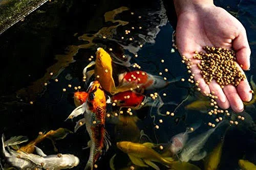 Blue Ridge Cool Water Wheat Germ Koi and Goldfish Food 25 lbs