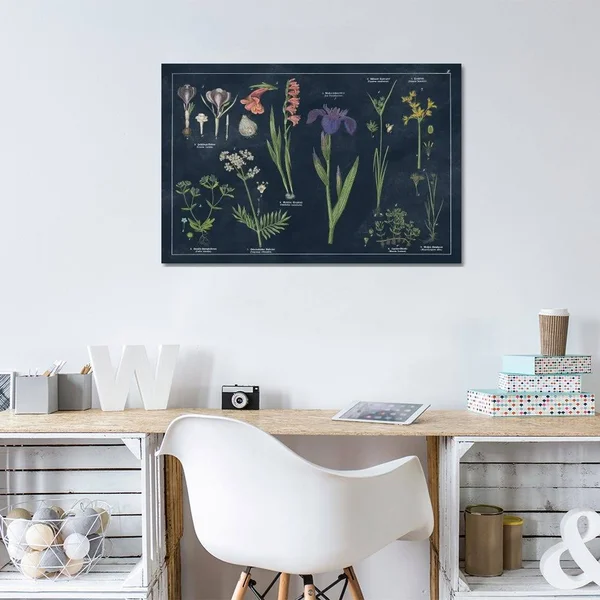 Botanical Floral Chart II Dark Blue Canvas Artwork Print by Wild Apple Portfolio ( Hobbies & lifestyles > Gardening art)