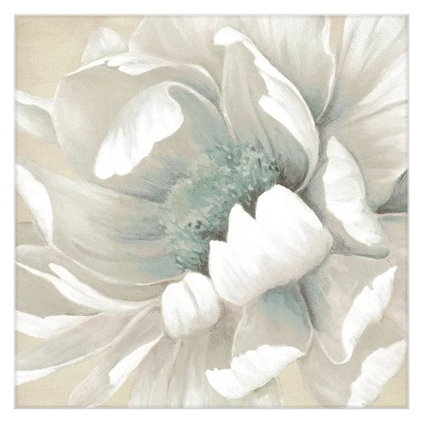 Winter Blooms II by Carol Robinson Canvas Art