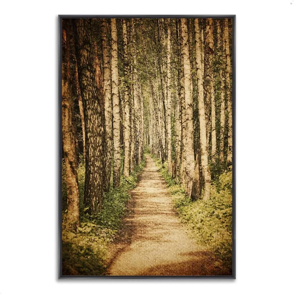 The Old Aspen Trail, 40x22 x 59x22 Fine Art Giclee Print on Gallery Wrap