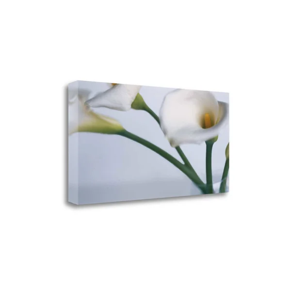 Tangletown Fine Art Springplicity I by Cinzia Ryan, Gallery Wrap Canvas