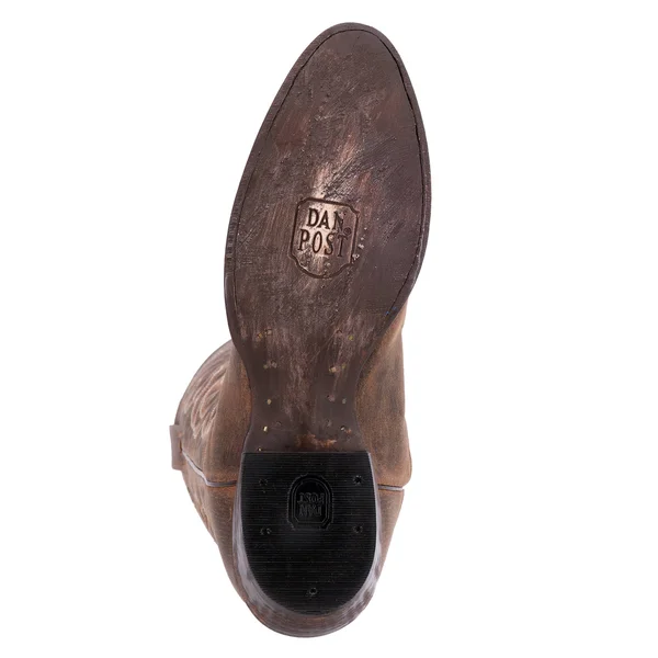 Men's Dan Post Renegade Boots