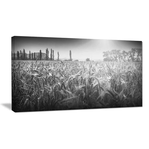 Design Art Black and White Wheat Field Photographic Print on Wrapped Canvas Size: 16x22 H x 32x22 W x 1x22 D