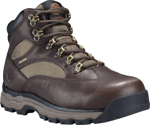 Timberland Chocorua Trail 2 Hiking Boot - Men's - Dark Brown