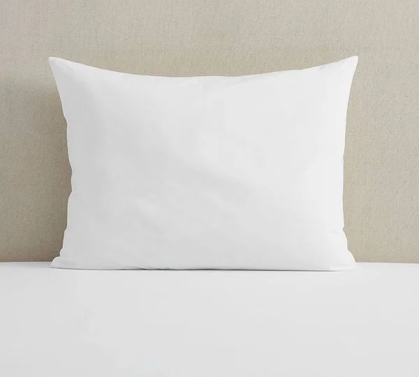 Pottery Barn Oversized Feather Pillow Insert, Set of 2