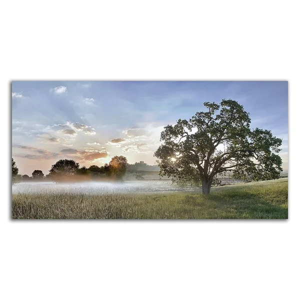 Sonoma Oak #3 by Alan Blaustein, Print on Canvas, 36x22 x 18x22