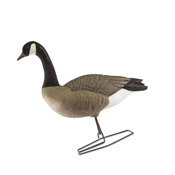 DOA Decoys Rogue Series Full-Body Canada Goose 6 Pack