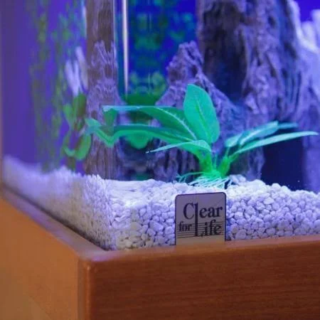 Clear for Life20R 20-Gallon Rectangle Aquarium - Black